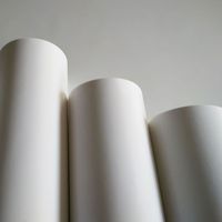 Toile en polyester mate pour affiches d'art et impression photo