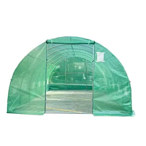 6x3 Mini bitki yeşil ev taşınabilir oem polytunnel bahçe sera yürümek