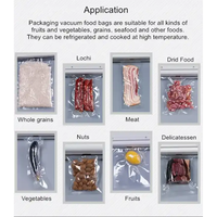 Sacs sous vide gaufrés recyclables en gros pour sushis et aliments pour animaux de compagnie, sans BPA, résistants au congélateur, en nylon PE, pochettes d'emballage, taille personnalisée