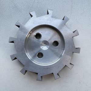 Disco Tagliente per Estrusore di Mangime per Pesci - Product Image 2