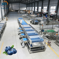 Máquina Clasificadora de Frutas y Verduras Azul Marca KEHONG 40001100900, Dimensiones 200KG de Peso