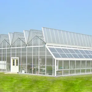 Grote Commerciële Groene Huizen Landbouw Greenhouse