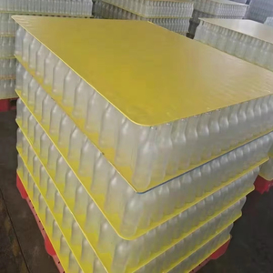 Pallet nhựa-chai lớp <span class=keywords><strong>Pad</strong></span> Tier Sheets với rắn PP Polypropylene sóng <span class=keywords><strong>correx</strong></span> phân vùng bảng separator Pads - Product Image 1