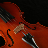 Hot Sale Cheap Basswood Violon Student Poly Wood Violin Color Violin 4/4 for Begin