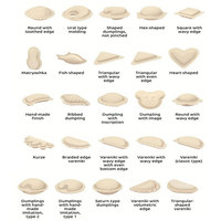 Ligne de production motorisée automatique haute efficacité pour potstickers, empanadas, gyozas, samosas, avec support OEM, machine à raviolis de qualité alimentaire