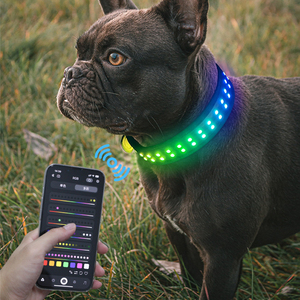 Suministros para mascotas, perro que camina, advertencia antipérdida, <span class=keywords><strong>control</strong></span> de aplicación, collar de Flash, carga USB, collar de perro emisor de luz <span class=keywords><strong>LED</strong></span> - Product Image 2