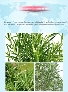 Nhà Máy Bán buôn nồng độ cao chất lượng cao hương thảo dầu thơm 500ml hương thơm tự nhiên làm xà phòng - Product Image 5