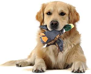 Juguete de felpa para mascotas, diseño de hueso reciclable, accesorios de lujo, cama para perro a prueba de morder, productos calmante al por mayor - Product Image 1