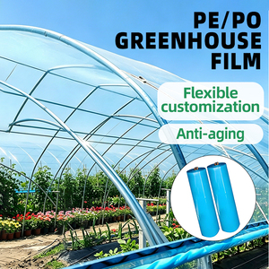 Film plastique PE <span class=keywords><strong>pour</strong></span> serre 10x25 pieds 6 mil d'épaisseur résistant aux UV Film transparent <span class=keywords><strong>pour</strong></span> couverture de serre <span class=keywords><strong>pour</strong></span> l'agriculture et les jardins - Product Image 5