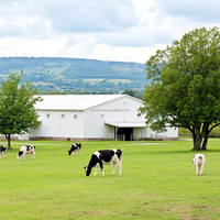 Bâtiment agricole préfabriqué en acier à longue portée avec grille, haute résistance au vent, pour l'élevage de poulets, vaches, moutons et chèvres