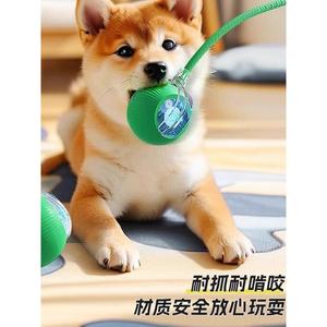 Pelota Inteligente Automática para Mascotas con Cuerda, Resistente a Mordidas, Juguete Interactivo Rodante para Gatos y Perros, Antiaburrimiento - Product Image 4