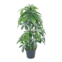 Fausses plantes en plastique, vente d'usine, fleurs artificielles tropicales, pour décoration