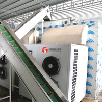Machine de Séchage Automatique à Alimentation Continue Shouchuang pour Noix de Cajou, Macadamia, Arachides et Pistaches