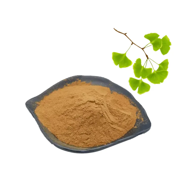 Factory Supply Ginkgo Biloba Leaf Extract Powder Flavones 24% Lactones 6% Gingko