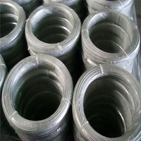 Alambre de Amarre de Acero Inoxidable 430 al por Mayor de Fábrica, Libre de Impuestos a la Exportación, Técnica de Electro Galvanizado, Doblado, Corte y Soldadura