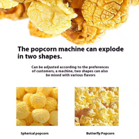 Machine à pop-corn commerciale industrielle automatique électrique de haute qualité professionnelle