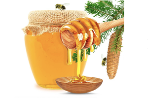 Công nghiệp lau phim chưng cất hiệu suất cao rotor & Seal Kit - 8 "hệ thống, 500lph, chống ăn mòn 316L SS - Product Image 5