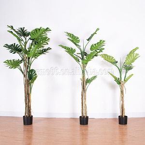 Piante Artificiali <span class=keywords><strong>da</strong></span> Interno all'Ingrosso, <span class=keywords><strong>Bonsai</strong></span> in Vari Stili, Pianta di Taro e Foglia di Monstera Fatte a Mano per Decorazione Casa e Ufficio - Product Image 3