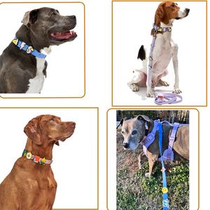 <span class=keywords><strong>Collar</strong></span> de perro de PVC para gato mascota de silicona resistente al agua con hebilla de Metal ajustable personalizada con abalorio de Clip de estilo múltiple - Product Image 6