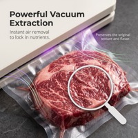 Scelleuse sous vide entièrement automatique à aspiration puissante, scelleuse d'emballage silencieuse avec tube de vide externe et largeur de scellage de 30 cm
