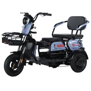 รถสามล้อไฟฟ้ารุ่นใหม่ปี 2025 สำหรับผู้โดยสาร ความเร็วสูง 800 วัตต์ สกู๊ตเตอร์ไฟฟ้าสำหรับผู้สูงอายุและผู้ใหญ่ - Product Image 1