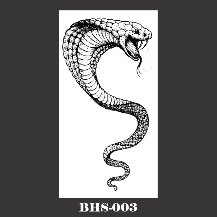 BHS-003