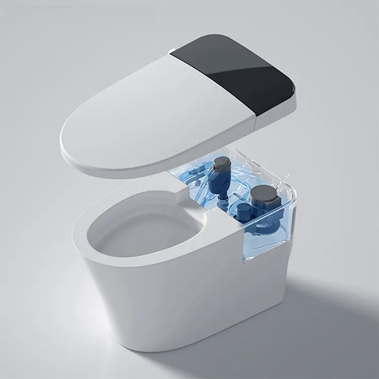 Custom European Brand English High Level Install Washdown Luxury Sanitary Ware And Water Closet Ceramic Smart Toilet Price Cheap