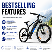Fabricant de vélos électriques OEM - livraison rapide et gratuite, meilleurs services après-vente et garantie EU pour la croissance de votre entreprise