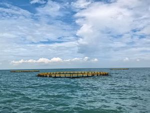 กระชังเลี้ยงปลา HDPE แบบลอยน้ำ: คุณประโยชน์ ราคา และความสามารถในการเลี้ยงปลาเป็นอย่างไร? - Product Image 6
