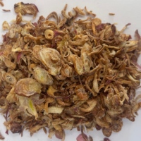 Oignon Séché Croustillant Frit en Tranches Doré Sans Conservateurs Emballage en Fût OEM 1kg Épices Mélangées Personnalisables pour