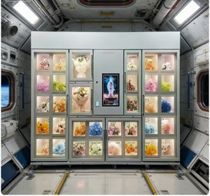 Solution de vente de fleurs personnalisée, armoire de fleuriste sans personnel, réfrigérateur pour fleurs, distributeur automatique de fleurs - Product Image 1