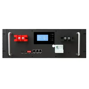 Seplos POLO-R 48V 100Ah Lifepo4 Batterie 5KWH Rack Mount Lithium-Ionen Solar Home Energie speicher Batterie