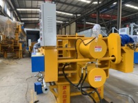 Prensa de Membrana de Alta Eficiencia Tipo 1250 de 150 m², Tecnología de Extracción, para Lodos Químicos/Mineros, 380V
