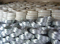 Harga Grosir Pabrik Kawat Gi 10 12 14 16 18 Gauge Berlapis Seng Galvanis Celup Panas untuk Kawat Jaring