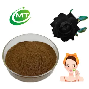 Manufacture Free sample 100% Pure Natural Organic Black rose Extract 10:1 Rosa rugosa extract black rose Powder
