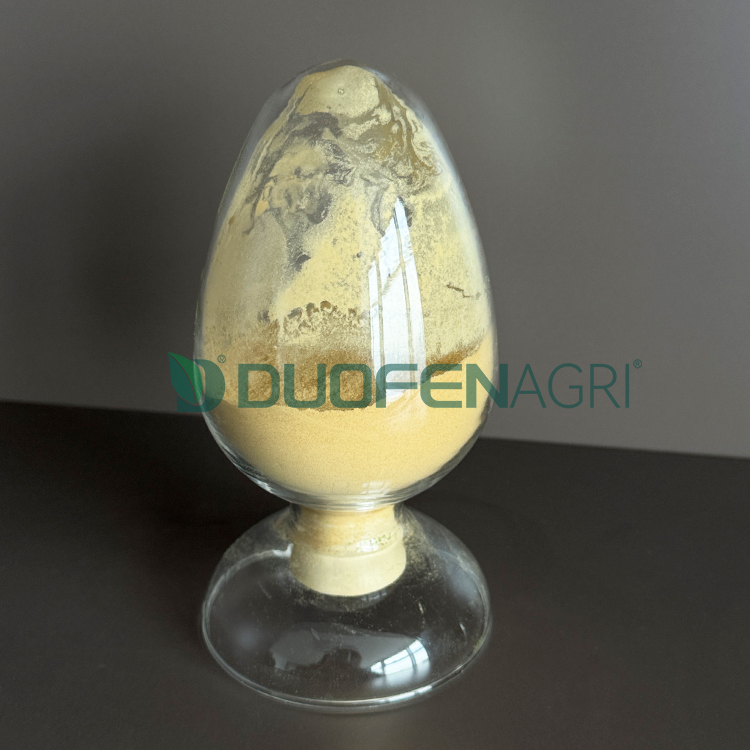 China Seaweed Extract Fertilizer Powder Manufacturer OEM image 2