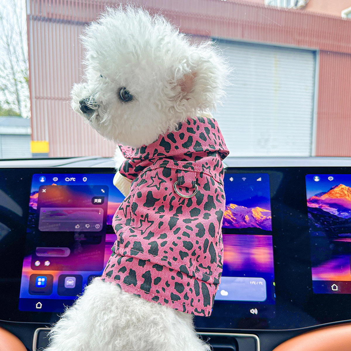 Pink leopard print denim jacket
