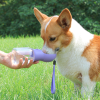 Distributeur d'eau et de nourriture pour chien et chat 2 en 1, portable, facile à nettoyer, bouteille d'eau pour animaux de compagnie, accessoires pour animaux de compagnie