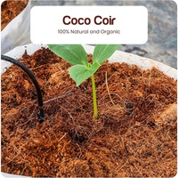 Briques de fibres de coco compressées, substrat de culture, terre de coco pour plantes, sol pour la croissance des plantes, légumes, fleurs, baies, plantation