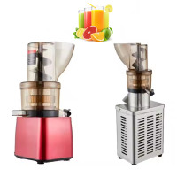 Hoge Opbrengst Commerciële Elektrische Calamansi Slow Juicer Machine Fabriek Outlet Sinaasappelsap Extractor