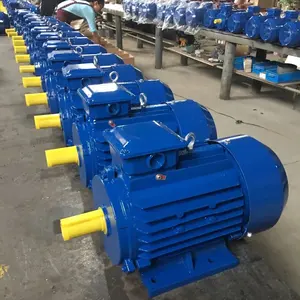 다람쥐-케이지 로터 AC 전기 모터 <span class=keywords><strong>115</strong></span>/120V 20kW 3000 RPM 풋 마운트 산업 장비 및 컨베이어 시스템을 위한 헤비 듀티 - Product Image 6