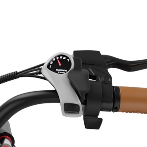 Bicicleta Eléctrica Urbana Híbrida 48V 11.5Ah 250W con Stock en la UE - Product Image 4