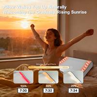 Oreiller intelligent avec logo personnalisé OEM, système de simulation du lever du soleil, mélodies naturelles pour la méditation, oreiller pour un sommeil réparateur