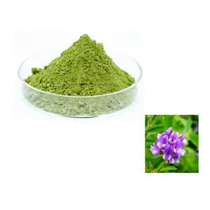 Factory Price Alfalfa Extract Powder 10:1