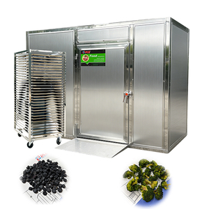 Secador de Arándanos y Brócoli de Bajo Consumo con Control Inteligente - Product Image 1