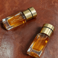 Nouveau design, flacon en verre pour huile essentielle ou parfum Attar Oud, en alliage de zinc, finition mate, 3ml/6ml/12ml, avec diffuseur à bâtonnets