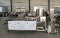 Machine industrielle pour la peau de Tofu, haute qualité, technologie spéciale, fabrication de la peau, durcissement des haricots