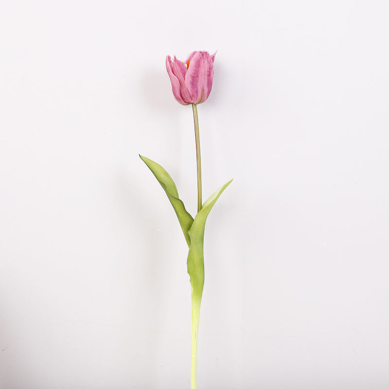 หัวเดียว-สีม่วง