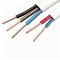 PVC-Flachkabel 300/500V, Blankkupferleiter, 2-3 Adern 0,75-16mm², für Beleuchtung & Stromverteilung, IEC/CCC-Zertifiziert