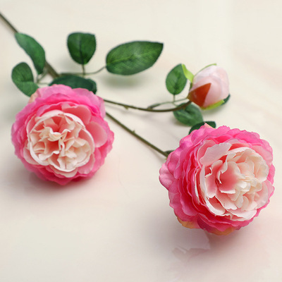 3 heads (2 flowers, 1 bud) of rose-red ranunculus